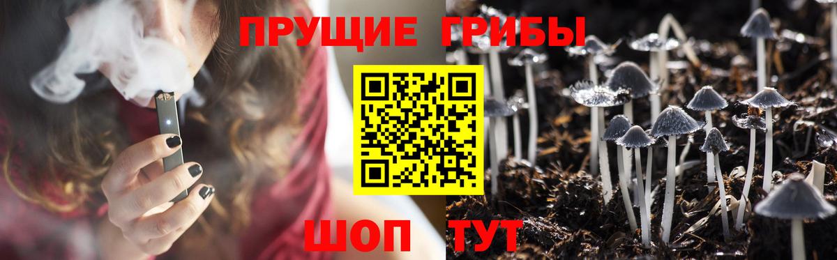 Галлюциногенные грибы Psilocybe  Вход с VPN  Нефтекамск 